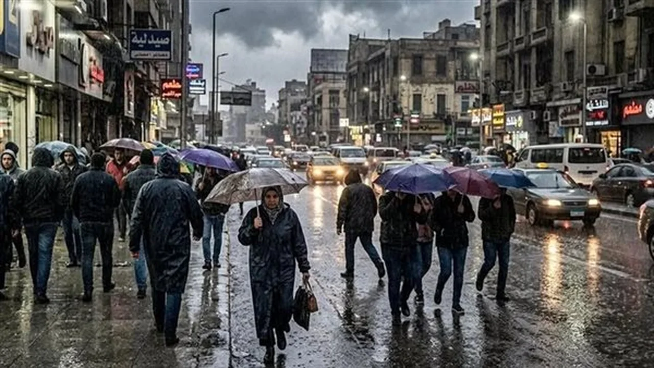 تحذير من الأرصاد بشأن تقلبات جوية وأمطار وشبورة مائية متوقعة غدًا